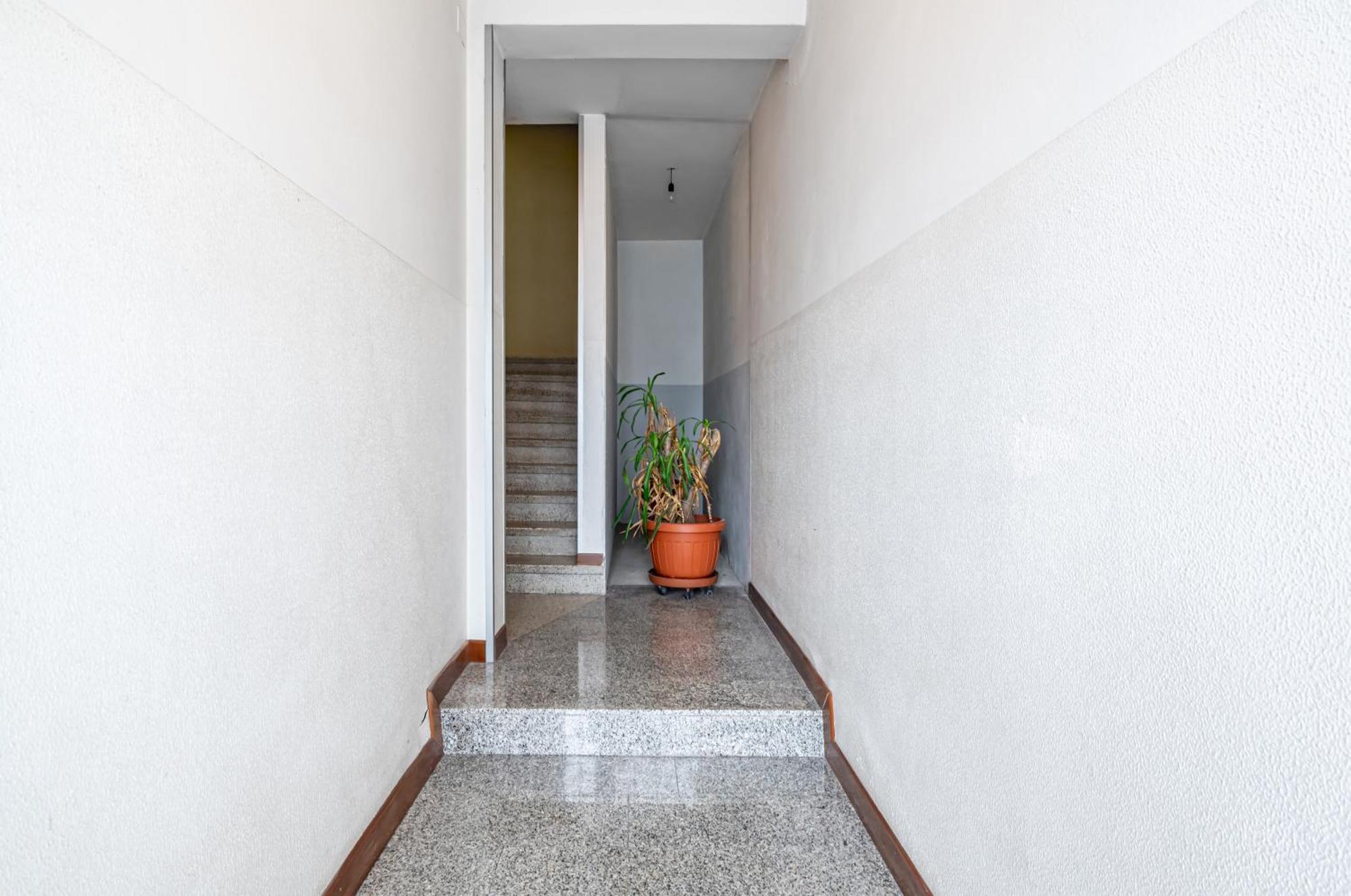 San Vincenzo Apartments 1 - 2 - 4 Vigonza Exterior foto
